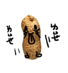 peanut peanut life3（個別スタンプ：2）