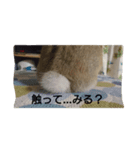 うさぎ好きのためのスタンプ（個別スタンプ：8）
