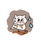 Kiko Owl Life（個別スタンプ：2）