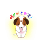 Jack Russell Terrier (Kinako)（個別スタンプ：3）