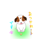 Jack Russell Terrier (Kinako)（個別スタンプ：9）