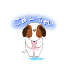 Jack Russell Terrier (Kinako)（個別スタンプ：11）