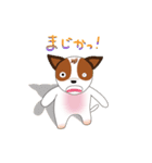 Jack Russell Terrier (Kinako)（個別スタンプ：14）