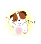 Jack Russell Terrier (Kinako)（個別スタンプ：15）