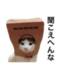 車屋さんとこの猫たち（個別スタンプ：8）
