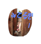 らむはの（個別スタンプ：5）