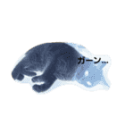 無愛想ねこ（個別スタンプ：7）