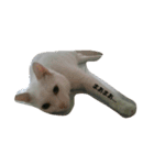 無愛想ねこ（個別スタンプ：12）