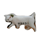 無愛想ねこ（個別スタンプ：15）