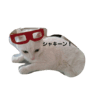 無愛想ねこ（個別スタンプ：31）