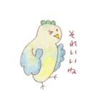 とりさんのLuu（個別スタンプ：37）