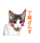 灰之介さん（個別スタンプ：2）