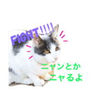 灰之介さん（個別スタンプ：8）