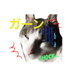 灰之介さん（個別スタンプ：9）