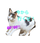 灰之介さん（個別スタンプ：12）