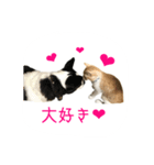 フクとサク（個別スタンプ：1）