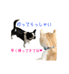 フクとサク（個別スタンプ：2）