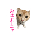 フクとサク（個別スタンプ：3）