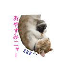 フクとサク（個別スタンプ：5）