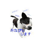 フクとサク（個別スタンプ：6）