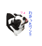 フクとサク（個別スタンプ：7）