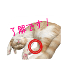 フクとサク（個別スタンプ：8）