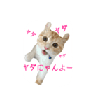 フクとサク（個別スタンプ：9）