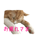 フクとサク（個別スタンプ：10）