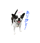 フクとサク（個別スタンプ：11）