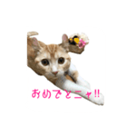 フクとサク（個別スタンプ：12）