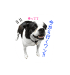 フクとサク（個別スタンプ：13）