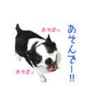 フクとサク（個別スタンプ：14）
