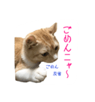 フクとサク（個別スタンプ：15）