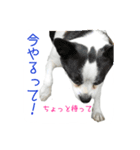 フクとサク（個別スタンプ：16）