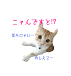 フクとサク（個別スタンプ：17）