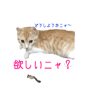 フクとサク（個別スタンプ：18）