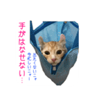 フクとサク（個別スタンプ：19）