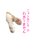 フクとサク（個別スタンプ：20）