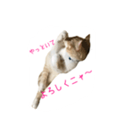 フクとサク（個別スタンプ：21）