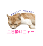 フクとサク（個別スタンプ：22）