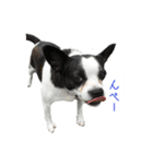 フクとサク（個別スタンプ：23）
