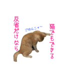 フクとサク（個別スタンプ：24）