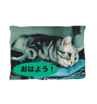 きなごむ日記（個別スタンプ：5）