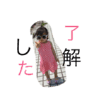 りりっぺマーク（個別スタンプ：1）