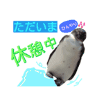 ここは我々動物達が答えよう（個別スタンプ：2）