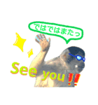 ここは我々動物達が答えよう（個別スタンプ：6）