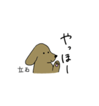 立石さんスタンプ 丁寧な犬（個別スタンプ：1）
