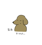 立石さんスタンプ 丁寧な犬（個別スタンプ：27）