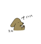 立石さんスタンプ 丁寧な犬（個別スタンプ：35）