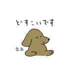 立石さんスタンプ 丁寧な犬（個別スタンプ：36）